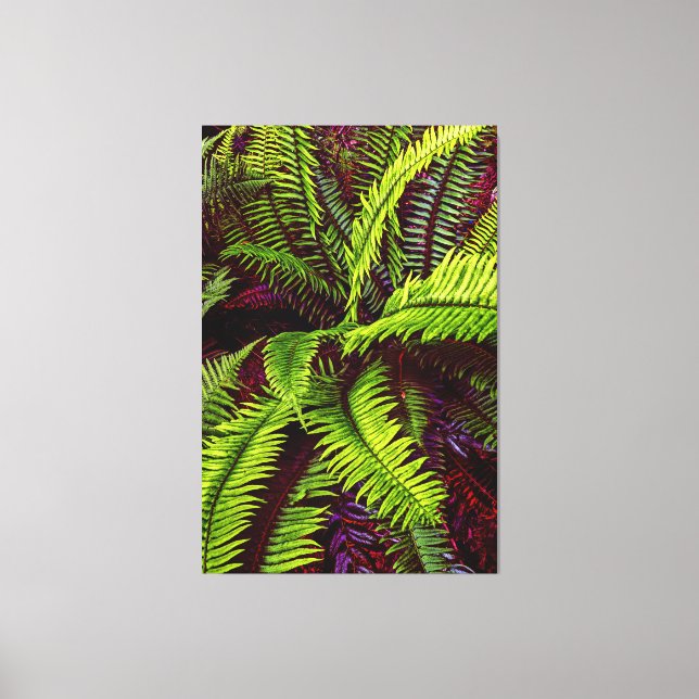 Palms 2 Wrapped Canvas (Front)