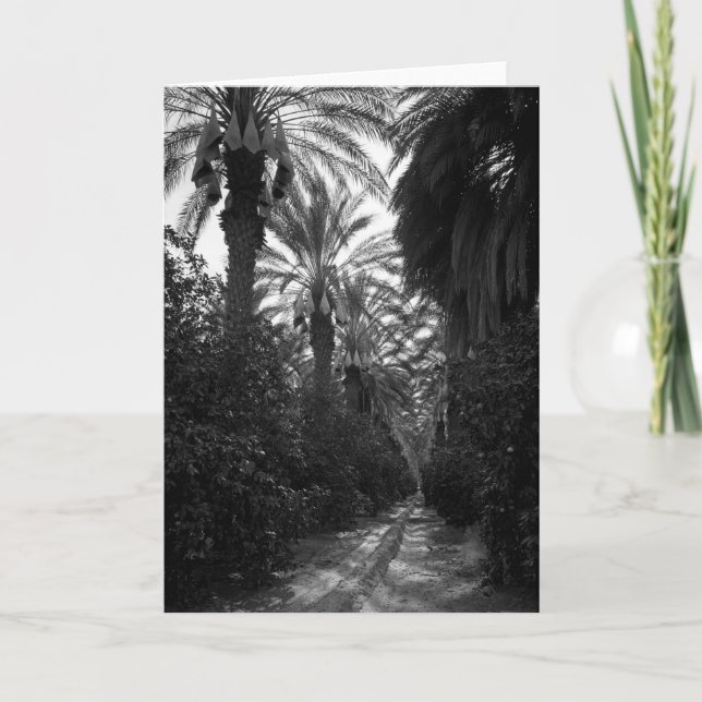 Palms and Orange Trees Near Desert, 1966 Card (Front)