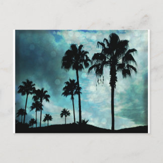 palms at dusk postcard