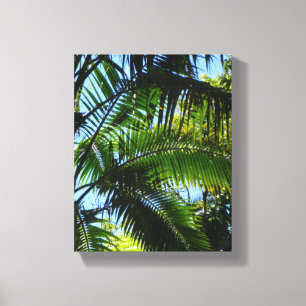 Palms Canvas Print