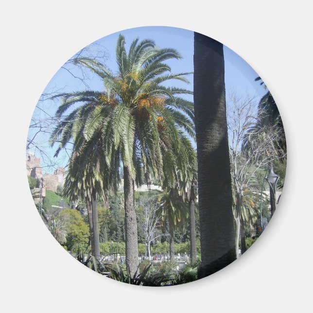 Palms in Malaga Magnet (Front)