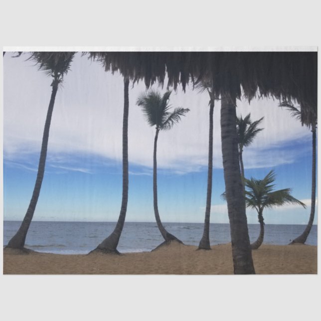 Palms on the Beach 1 Tissue Paper (Front)