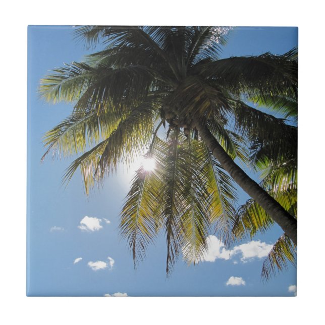 Palms Tile (Front)