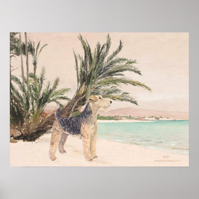 Palmy Beach Poster (Front)