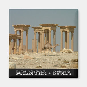 Palmyra, treasures of Syria No.3 (Fridge Magnet) Magnet