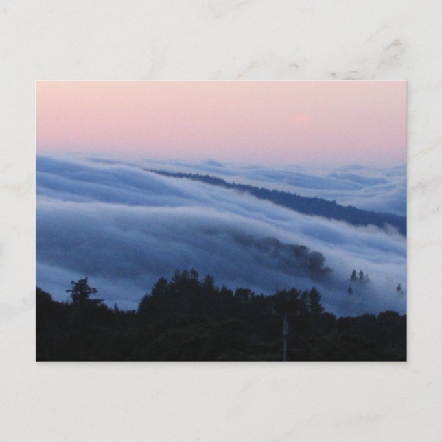 Palo Alto trail Postcard (Front)