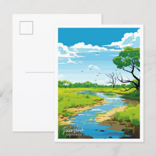 Palo Verde Costa Rica Travel Vintage illustration Postcard