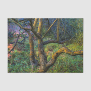 Palo Verde Tree Tissue Paper