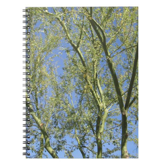 Palo Verde Trees Spiral Notebook (Front)