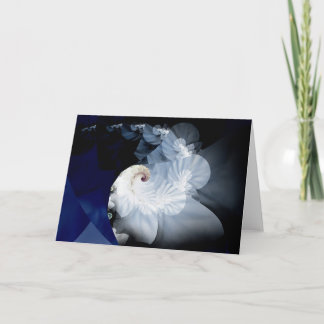 Paloma Holiday Card