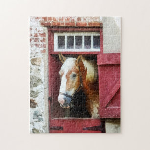 Palomino by Barn Door Jigsaw Puzzle