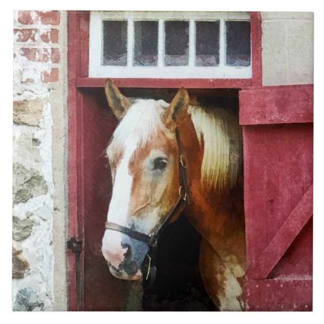 Palomino by Barn Door Tile (Front)