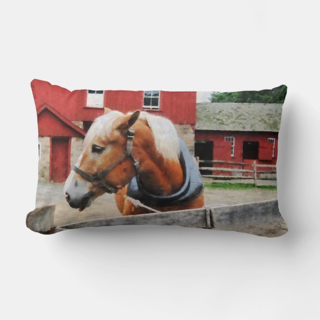 Palomino By Red Barn Lumbar Cushion (Front)