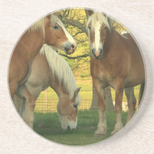Palomino Draught   Horses Coaster
