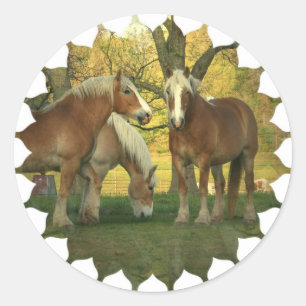Palomino Draught Horses Stickers