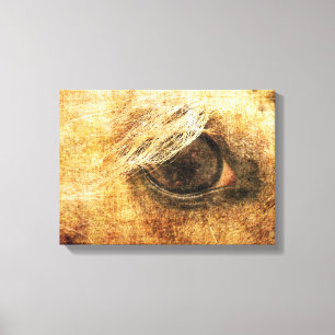 Palomino Eye Grunge Canvas Print
