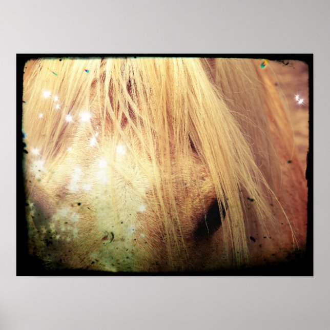 Palomino Glitter Grunge Poster (Front)