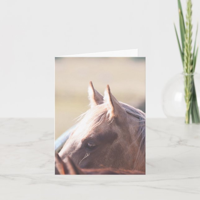 Palomino Gold - 4" x 5.6" Notecard  (Front)