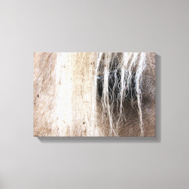 Palomino Grunge Canvas Print (Front)