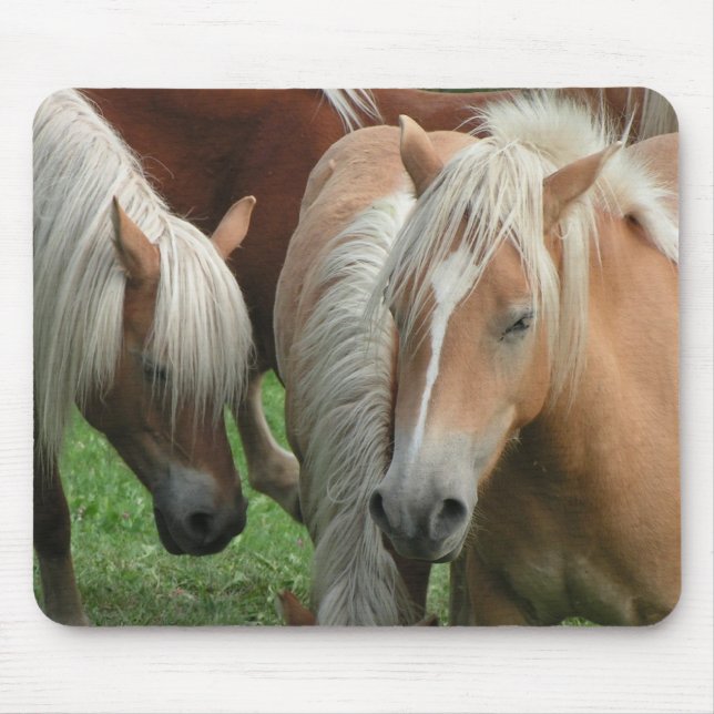 Palomino Herd Mousepad (Front)