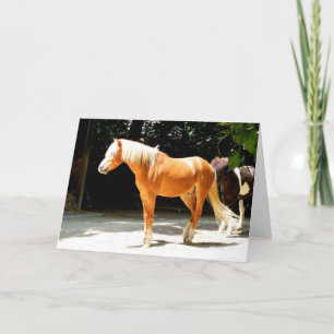 Palomino horse animal holiday card