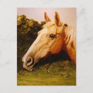 Palomino Horse Art Postcard
