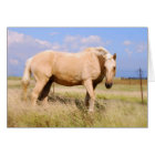 Palomino Horse Card