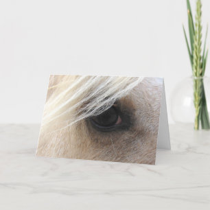 Palomino Horse Eye, Fathers Day Card