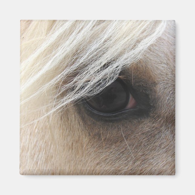 Palomino Horse Eye Magnet (Front)