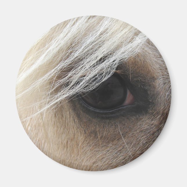Palomino Horse Eye Magnet (Front)