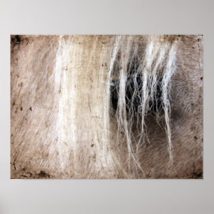 Palomino Horse Grunge Poster