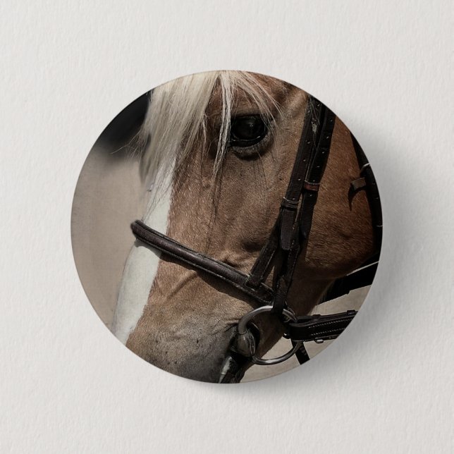 Palomino Horse in Bridle 6 Cm Round Badge (Front)