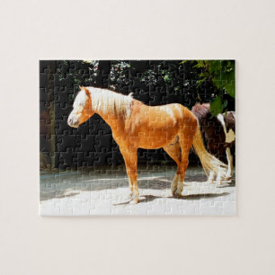 Palomino horse jigsaw puzzle