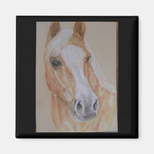 palomino horse magnet