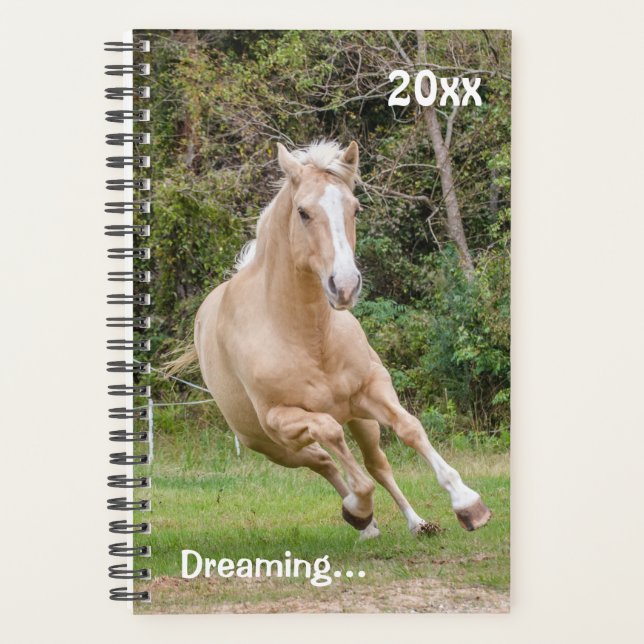 Palomino Horse Monthly Planner (Front)