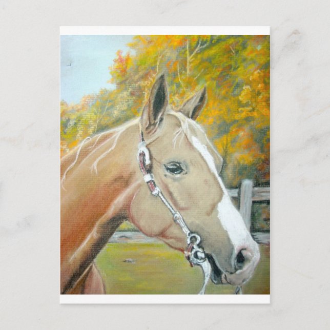 Palomino, Horse pastel Postcard (Front)