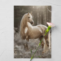 Palomino Horse Photograph 