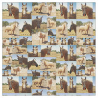 Palomino Horses Photo Collage,   