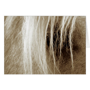 Palomino in Sepia