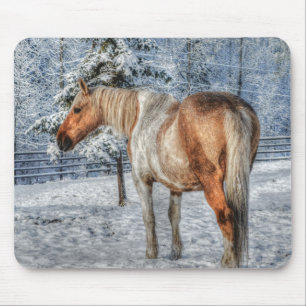 Palomino Paint Horse and Snow Equine Photography Mouse Pad