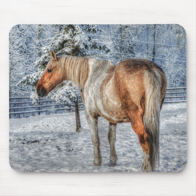 Palomino Paint Horse and Snow Equine Photography Mouse Pad (Front)