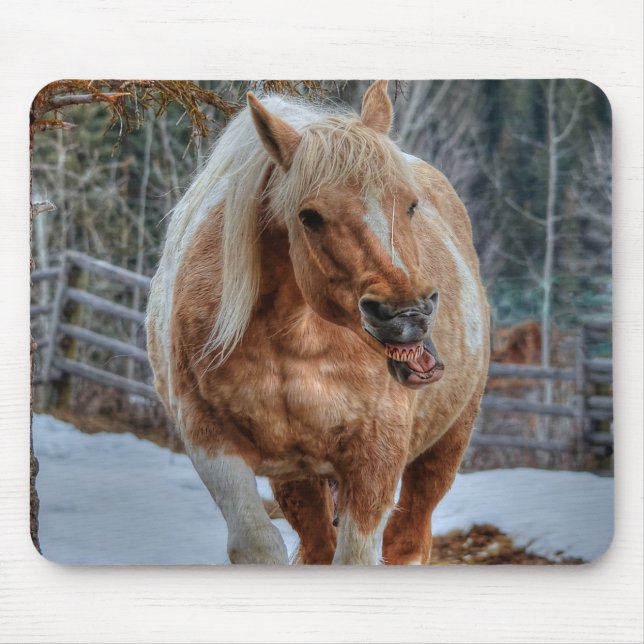 Palomino Paint Ranch Horse Equine Photography Mouse Pad (Front)