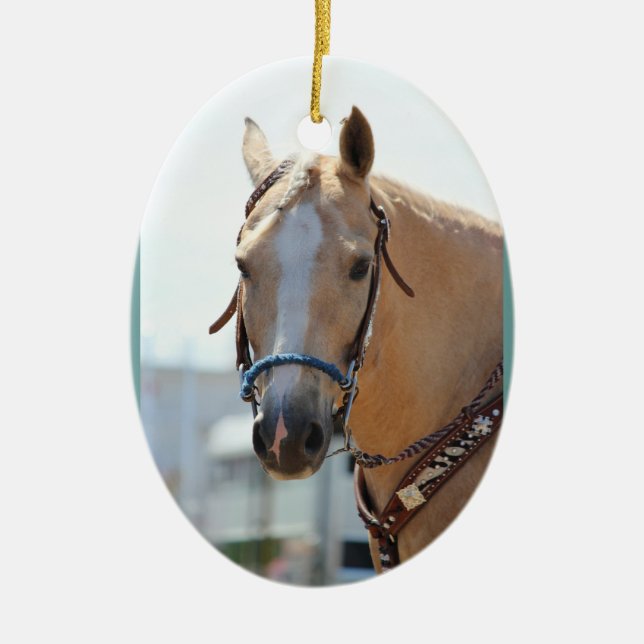 Palomino Pic Ceramic Tree Decoration (Front)