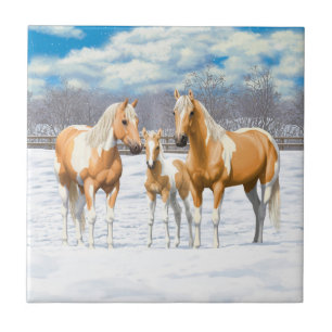 Palomino Pinto Paint Quarter Horses In Snow Tile