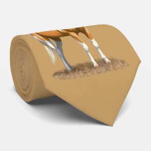 Palomino Pinto Quarter Horse Paint Horse Stallion Tie