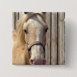 Palomino Pony Square Pin