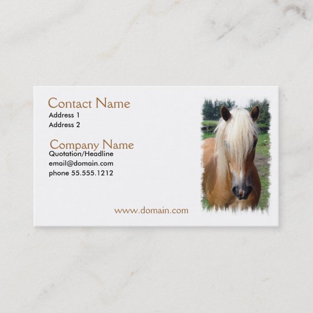 Palomino Quarter Horse Business Card (Front)