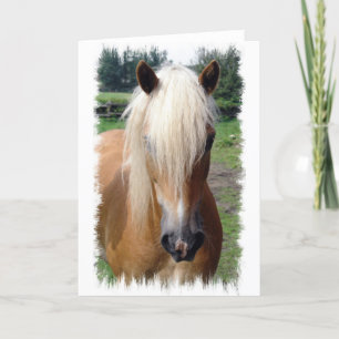 Palomino Quarter Horse Greeting Card