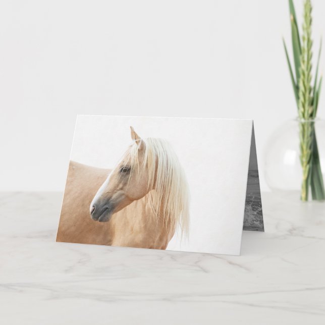 Palomino Stallion Turns  Horse Greeting Card (Front)