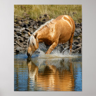 Palomino Waters Poster